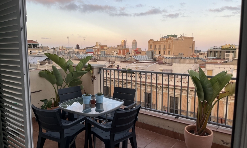 IMG_5354-scaled IMG_5354-scaled