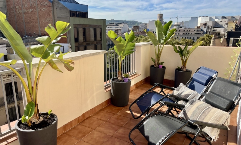 terrassa-attic-hamaques terrassa-attic-hamaques